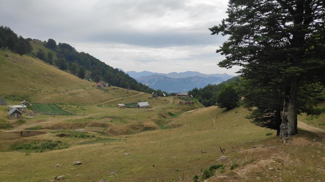 Eco Village Goles *