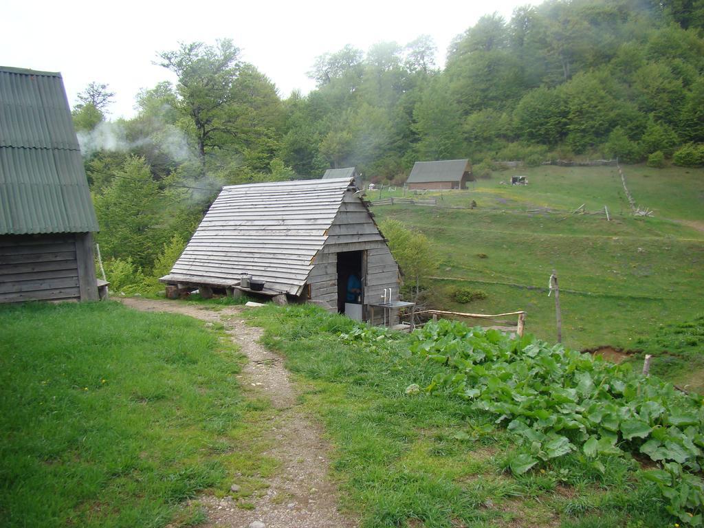 Eco Village Goles Kır Evi *