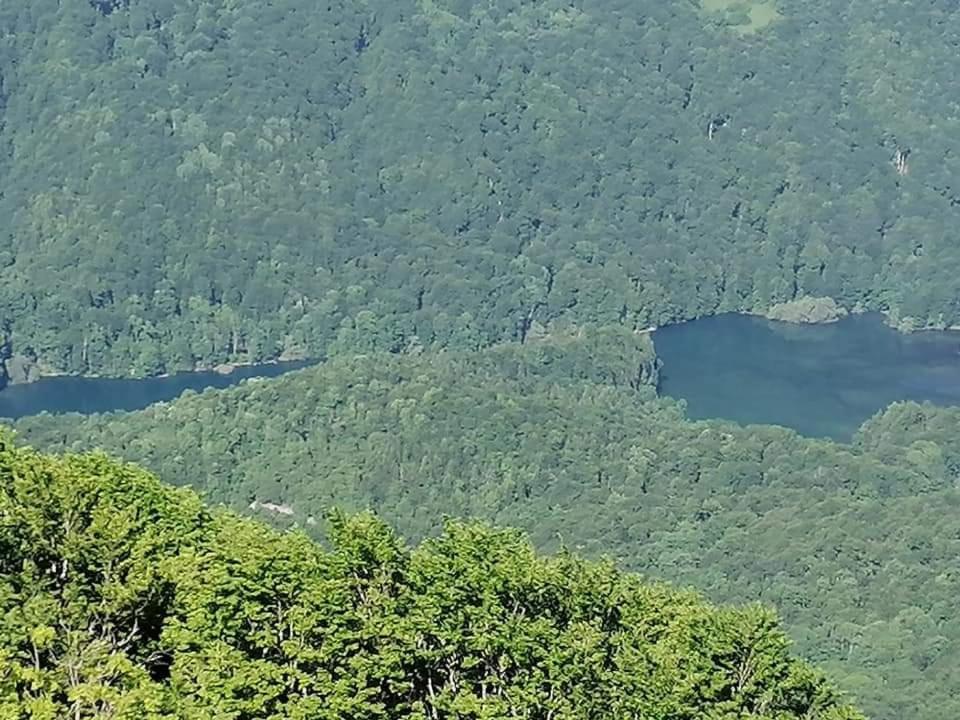Eco Village Goles Kır Evi Kolaşin