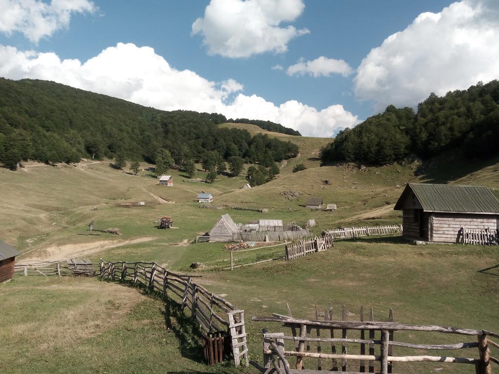Country house Eco Village Goles *